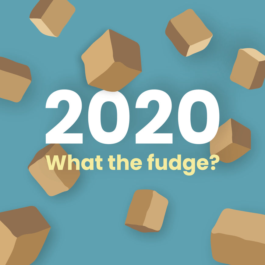 2020:<br><span class="text-primary">What the fudge?</span>